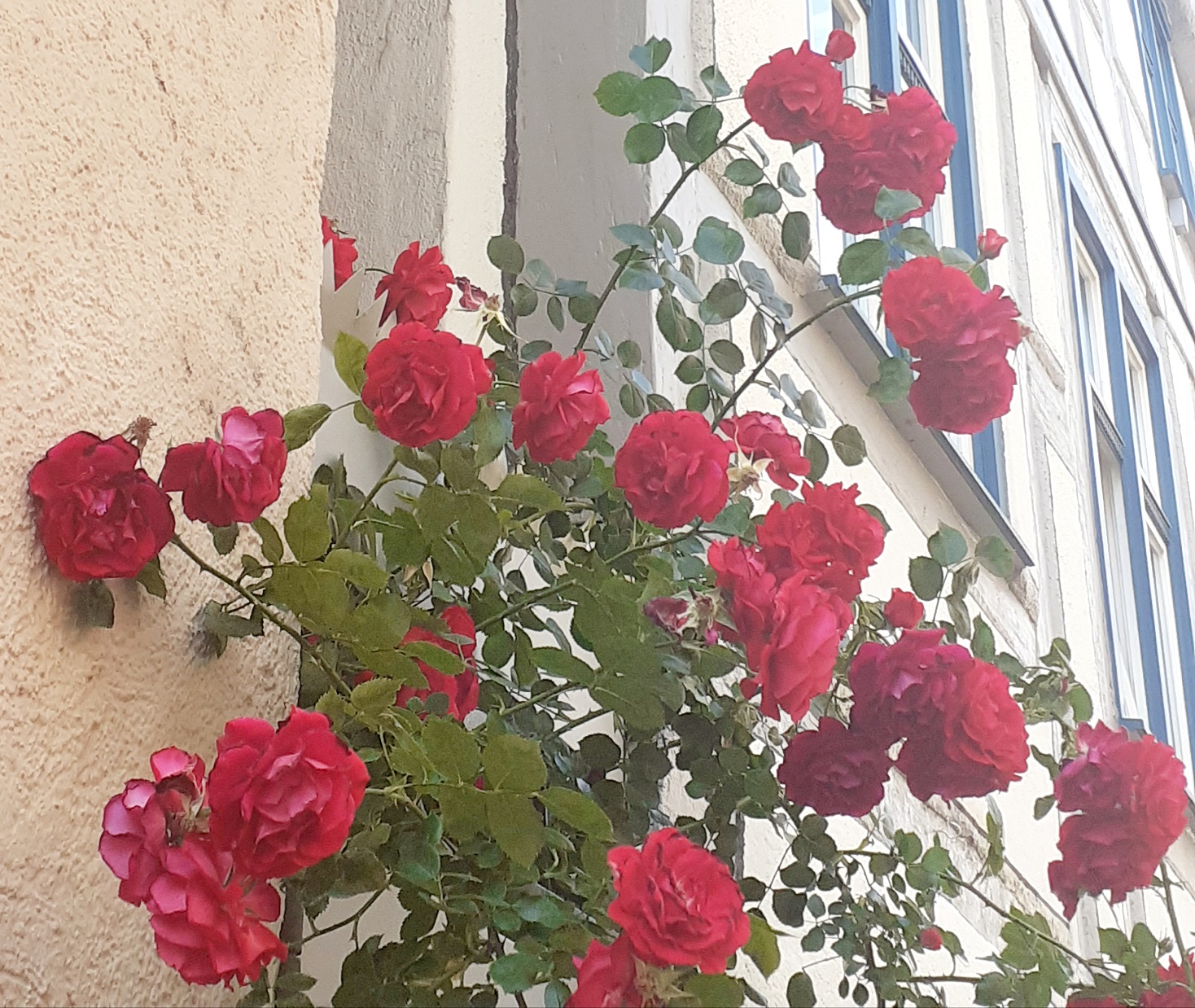 Bild: Bild: keb-Ulm / Sarah Scharpf