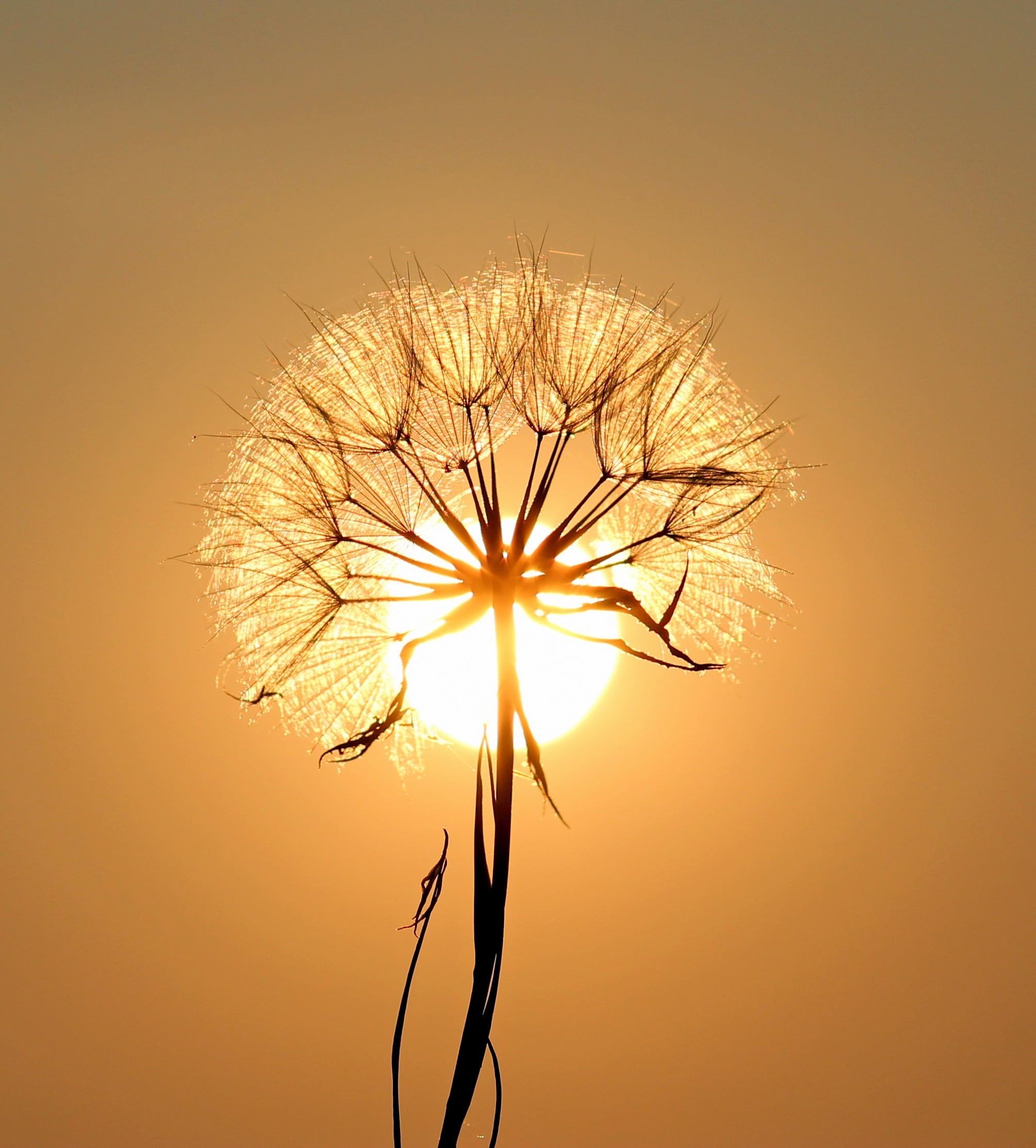 Bild: Bild: Pixabay